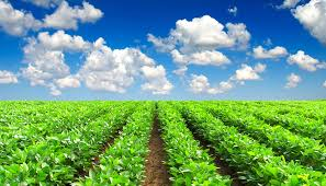 Agricultural AI Market is expected to reach USD 2,628.5 Mill'