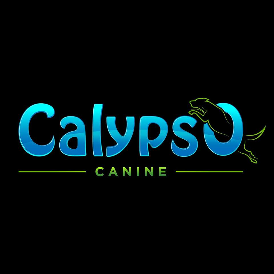 Company Logo For Calypso Canine'