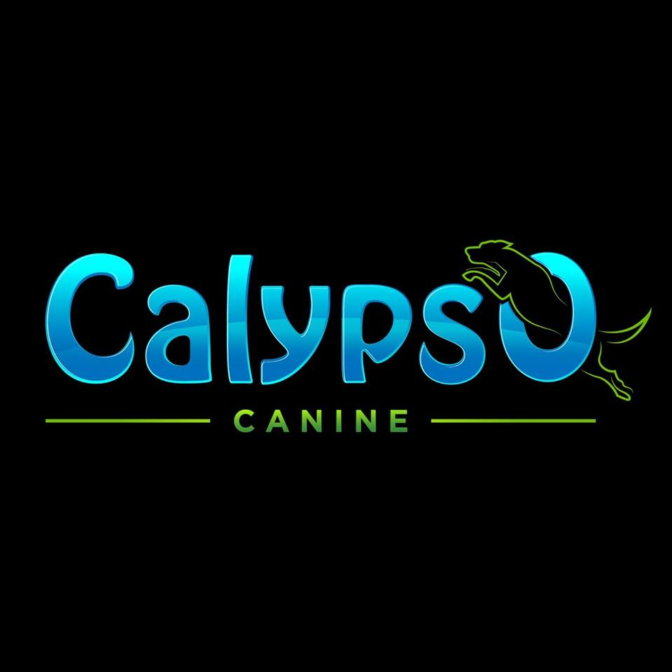 Calypso Canine