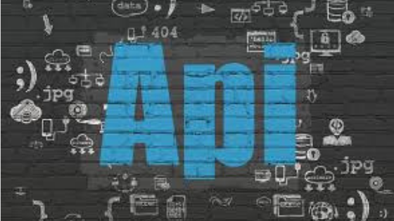 Application Programming Interface (API) Management Software'