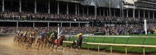 DerbyBox.com'