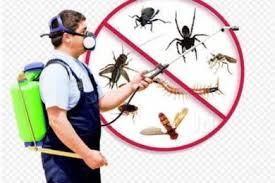 Biological Pest Control Market'