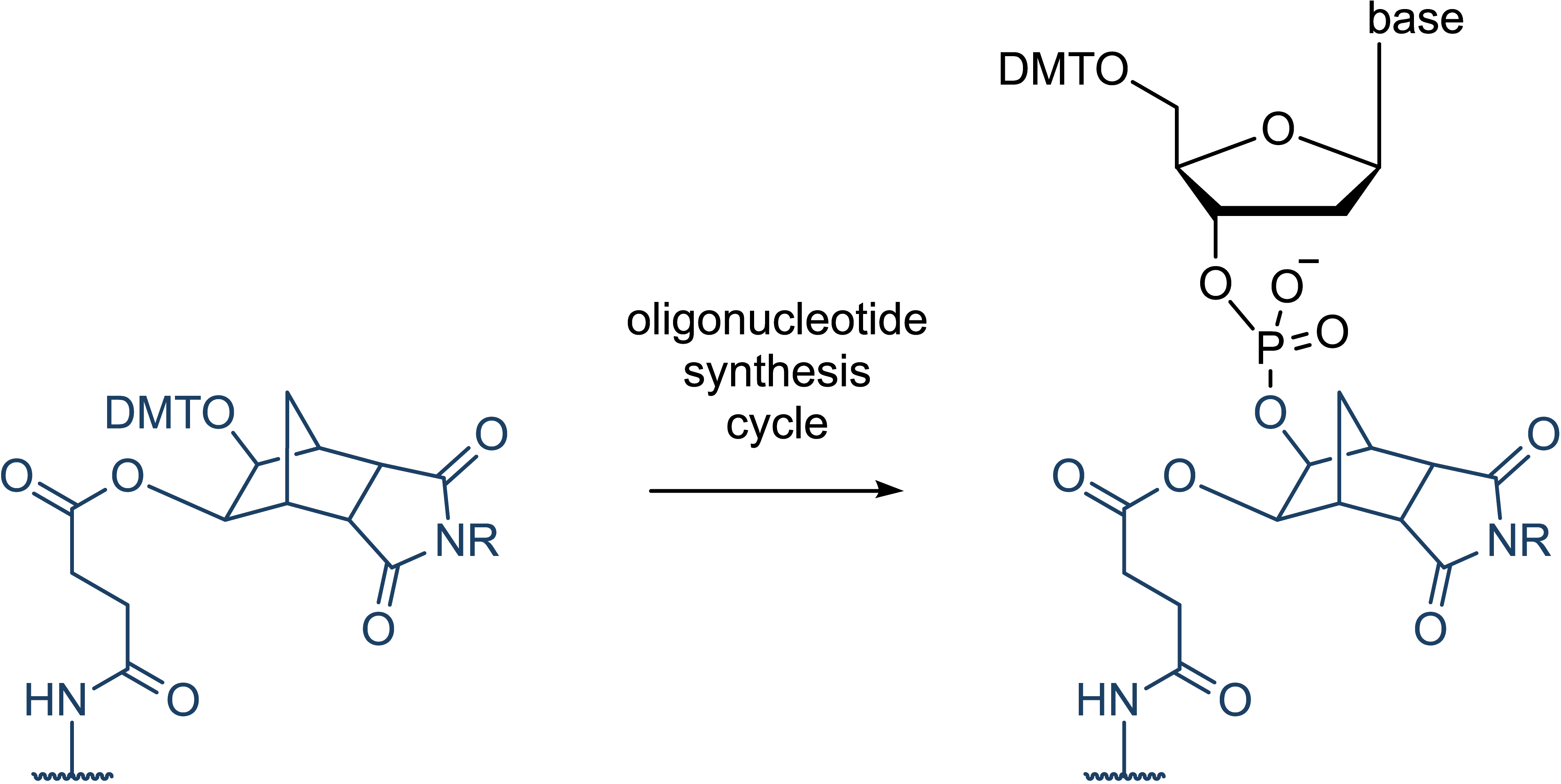 Oligonucleiotide Synthesis Report on Global and United State