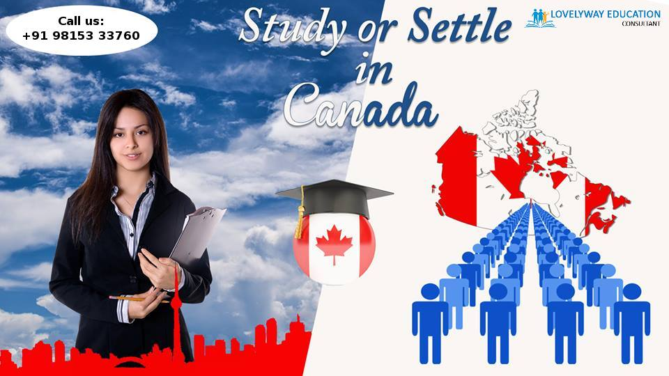 Company For Lovelyway Education Consultant'