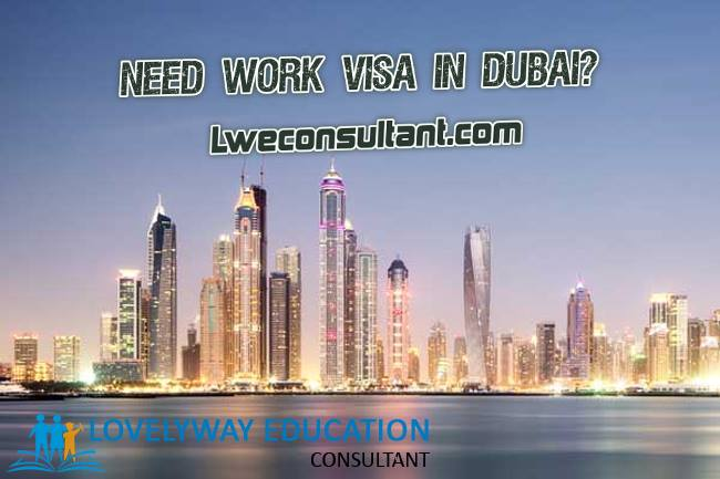 Company For Lovelyway Education Consultant'