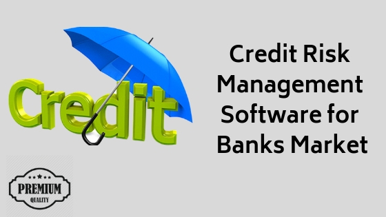 Credit Risk Management Software'