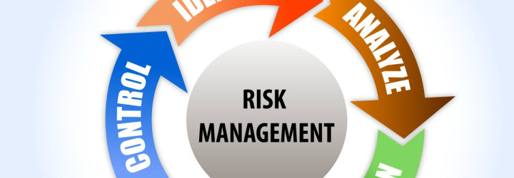 Corporate Risk Management Market'