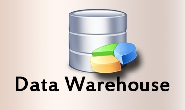 Data Warehouse Software Market'