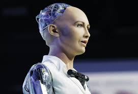 Humanoid Robot Market