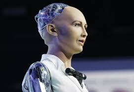 Humanoid Robot Market'