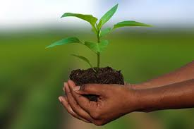 Agriculture Crop Insurance Market