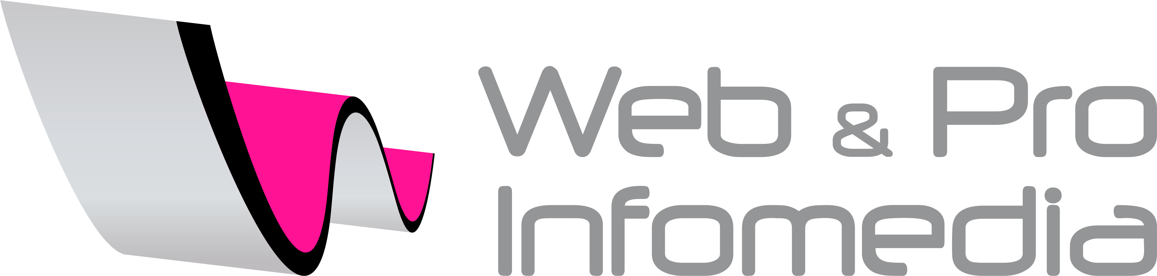 Web and Pro Infomedia Logo