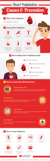 Heart Palpitation Infographic: Causes and Prevention'