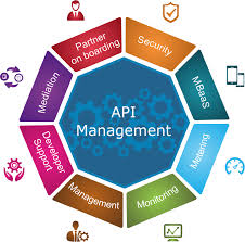 API Management Market'