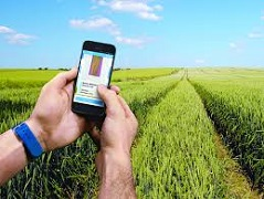 Digital farming market is expected to increase by 40%'