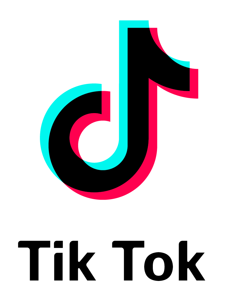 TikTok Logo'