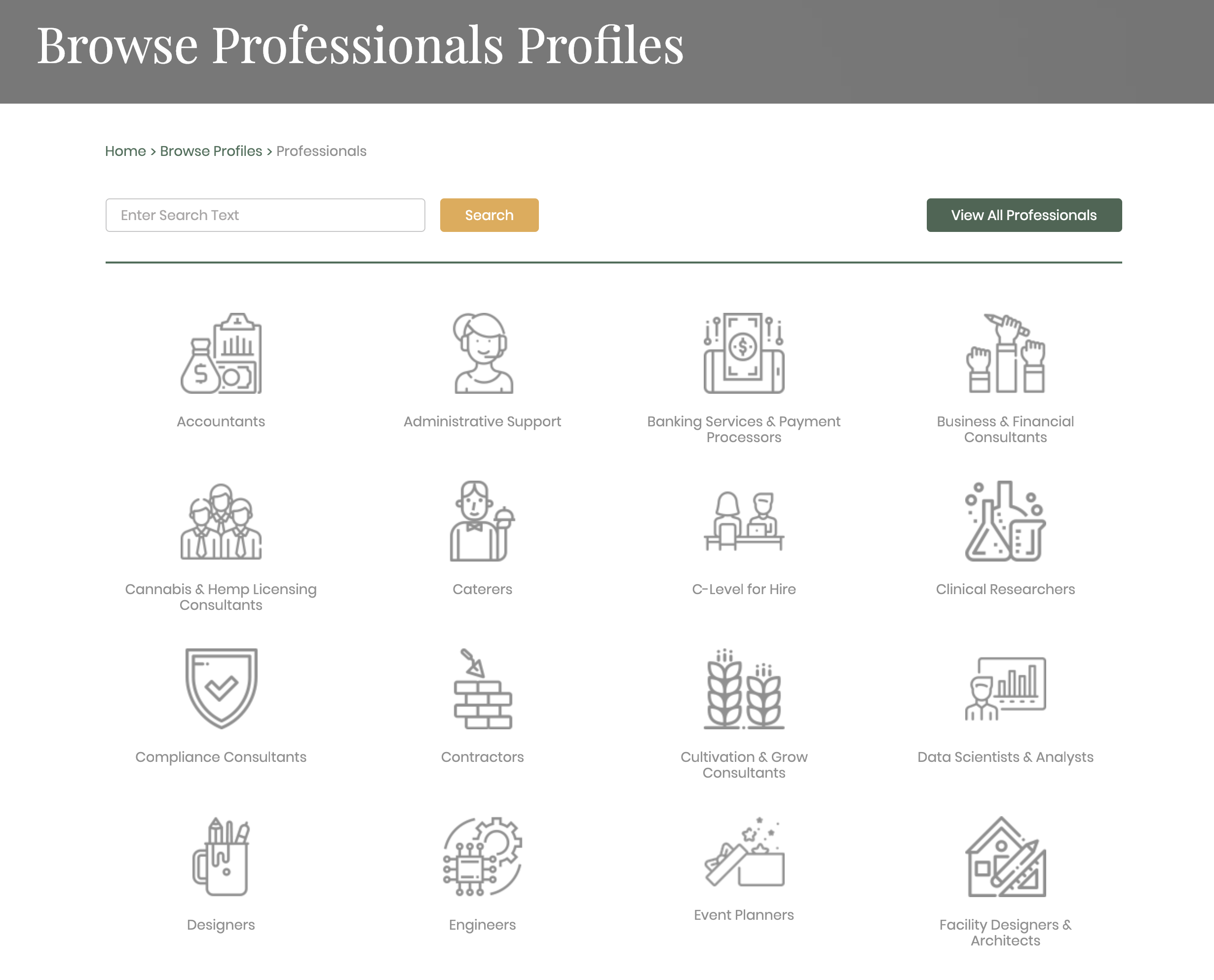 Mary's List Professional Categories'