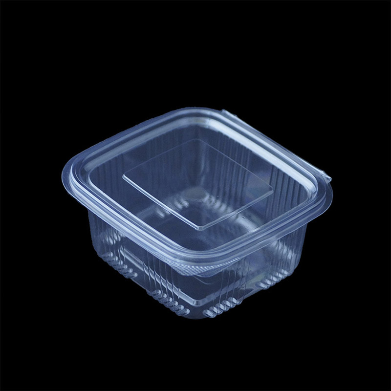 Disposable Plastic Food Container'