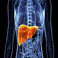 Liver Diseases Therapeutics Drugs'