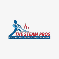 The Steam Pros Logo