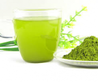 Green Tea Powder Market