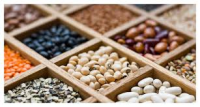Global Plant Sourced Protein Market