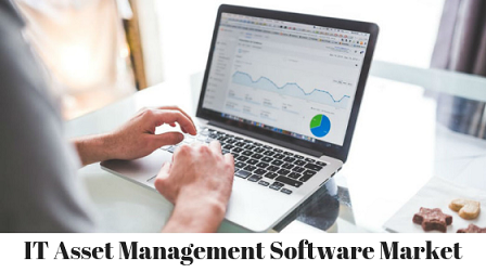 IT Asset Management Software'