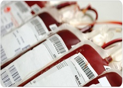 Blood Bank Information System Market