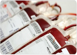 Blood Bank Information System Market'