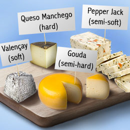 Global Semi-hard & Hard Cheese Market Insights, Fore