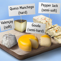 Global Semi-hard &amp; Hard Cheese Market Insights, Fore'