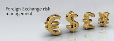 Foreign Exchange Risk Management Market