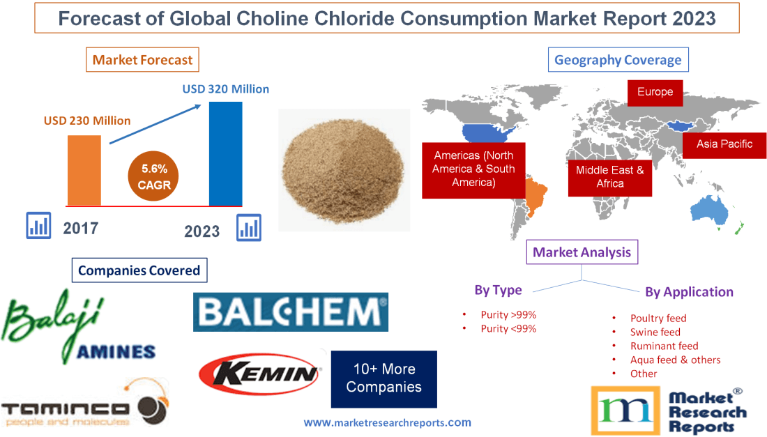 Global Choline Chloride Market Will Grow at a CAGR 5.6 and Reach USD