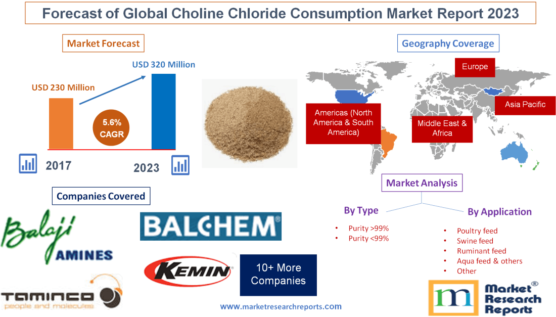 Forecast of Global Choline Chloride Consumption Market'