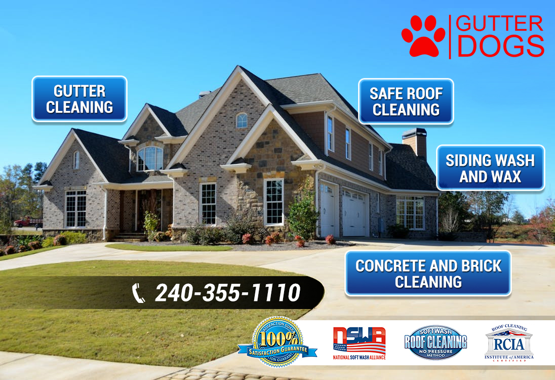 Roof Cleaning Company Maryland (2)