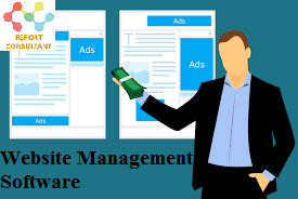 Website Management Software Market'