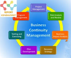 Business Continuity Management(BCM) Planning Solution Market
