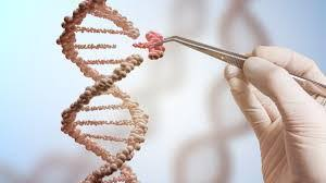 Global Genome Editing/Genome Engineering Market