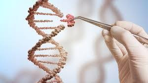 Global Genome Editing/Genome Engineering Market'