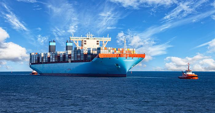 Perishable Goods Sea Transportation Market
