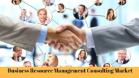 Business Resource Management Consulting