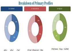 Content Analytics Software Market'