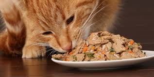 Global Wet Cat Food Market Insights