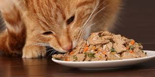 Global Wet Cat Food Market Insights'