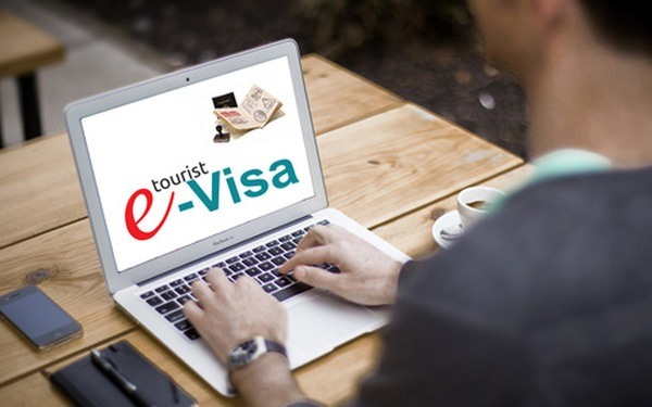 E-Visa Market