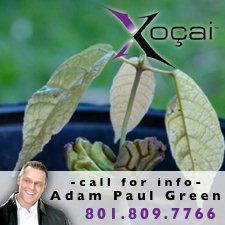 Adam Paul Green-Xocai