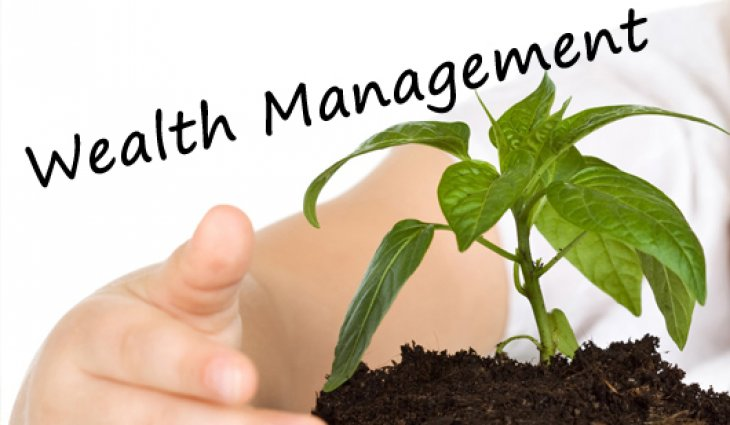 Wealth Management Market'