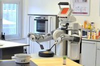 Domestic Smart Robots Market