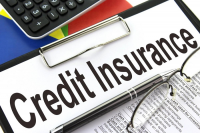 Global Credit Insurance Market