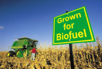 Global Biofuels Market Size Study, by Type